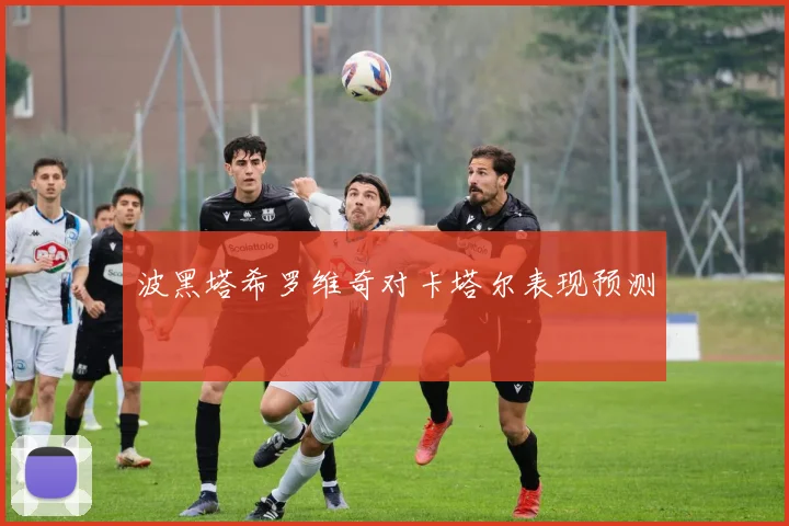 波黑塔希罗维奇对卡塔尔表现预测