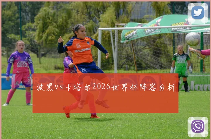 波黑vs卡塔尔2026世界杯阵容分析