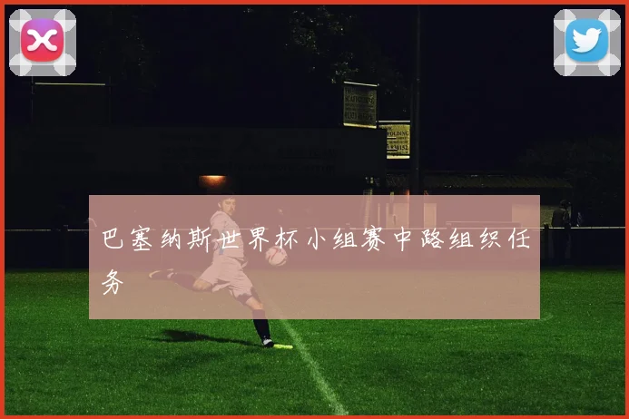 巴塞纳斯世界杯小组赛中路组织任务